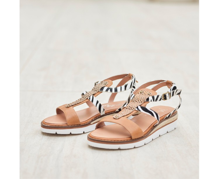 513057 Kalia Camel / Zèbre